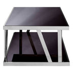 Black Tempered Glass Two-Tier Design Coffee Table with Silver Stainless Steel Frame | Ackley