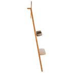 Carrick Ladder Towel Rack With Mirror