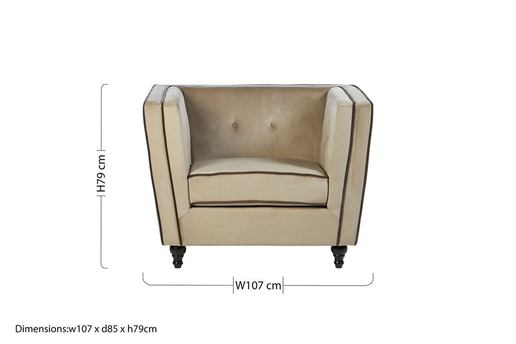 Mink Velvet Chair | Ferris