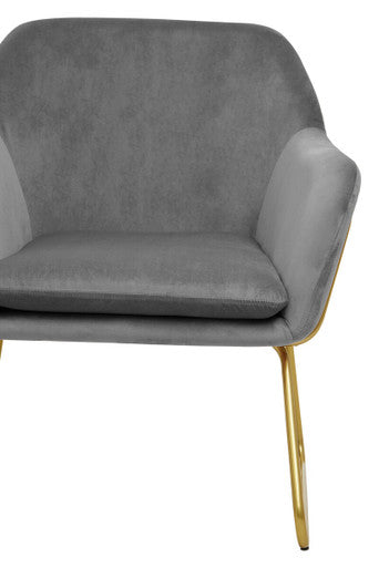 Grey Velvet Modern Accent Chair | Xander