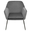 Grey Velvet and Black Frame Accent Chair | Xander