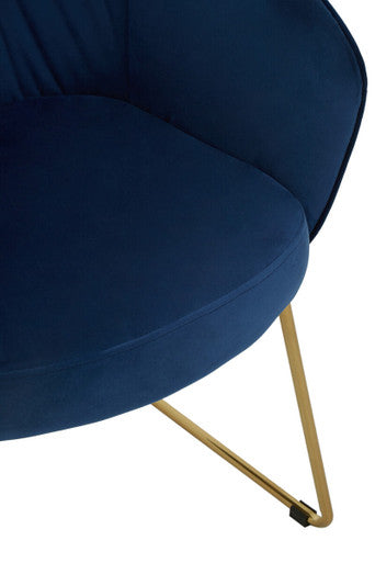 Midnight Velvet Curved Dining Chair | Veneto