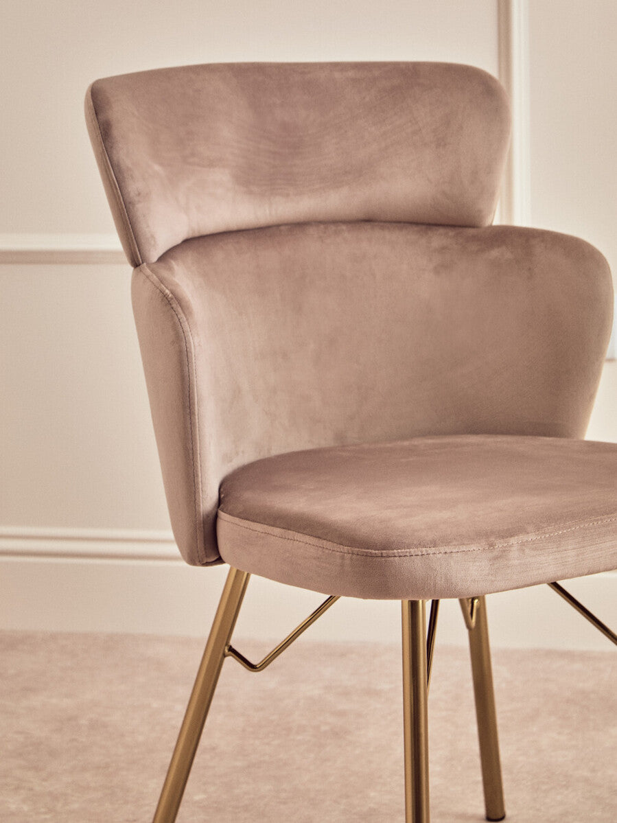 Mink Velvet Chair | Veneto