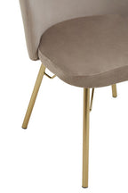 Mink Velvet Chair | Veneto