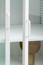 Two Door White Metal Cabinet with Glass Doors | Acier