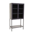 Two Door Grey Metal Cabinet With Glass Doors | Acier