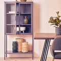 Two Door Grey Metal Cabinet With Glass Doors | Acier