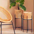 Small Rattan Planter with Metal Stand | Depok