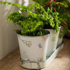 Set of Three Pots on Oblong Tray | Jardin