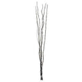 Black Colour 80 Lights Twigs | Ventana