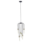 6 Bulb Black Pendant Light | Lagona