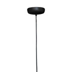 Teardrop Black Finish Pendant Light | Lavis