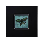 Butterfly 1 Framed Wall Art