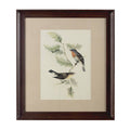 Framed Birds 1 Wall Art | Bird Wall Art