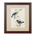 Framed Birds 2 Wall Art | Bird Wall Art