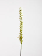 White Blazing Star Flower Stem | Fiori Artificial flowers