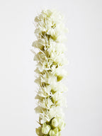 White Blazing Star Flower Stem | Fiori Artificial flowers
