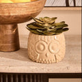 Fiori Large Succulent in Grey Ceramic Owl Pot