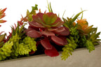 Mixed Succulents with Cement Pot | Fiori