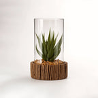 Small Succulent with Natural Stone Base | Fiori