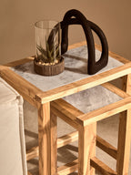 Small Succulent with Natural Stone Base | Fiori
