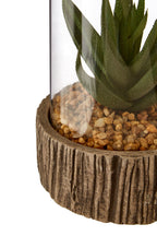Small Succulent with Natural Stone Base | Fiori