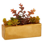 Mixed Succulents with Gold Ceramic Pot | Fiori