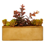 Mixed Succulents with Gold Ceramic Pot | Fiori