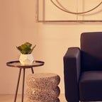 White Cement Pot Succulent | Fiori