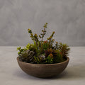 Mixed Succulent in Stone Effect Pot | Fiori