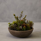 Mixed Succulent in Stone Effect Pot | Fiori