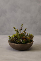 Mixed Succulent in Stone Effect Pot | Fiori