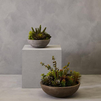 Mixed Succulent in Stone Effect Pot | Fiori