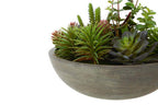 Mixed Succulent in Stone Effect Pot | Fiori