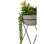 Mixed Succulent with Metal Stand | Fiori