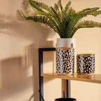 Fern in White Cement Pot on Stand | Fiori