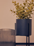 Thyme in Black Pot with Stand | Fiori