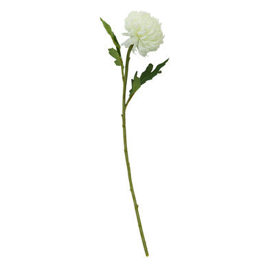 Fiori White Chrysanthemum Flower Stem