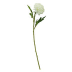 Fiori White Chrysanthemum Flower Stem