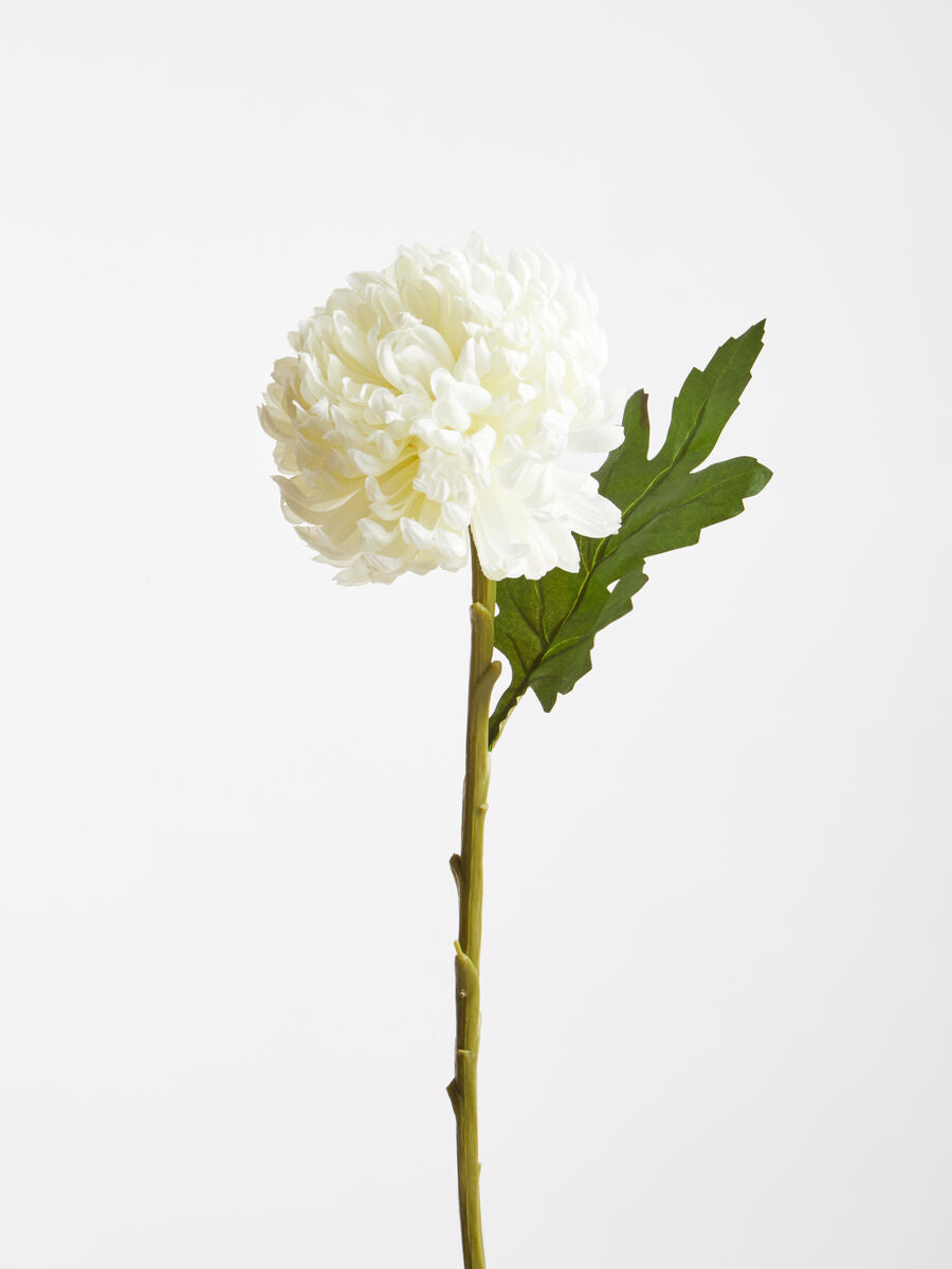 Fiori White Chrysanthemum Flower Stem