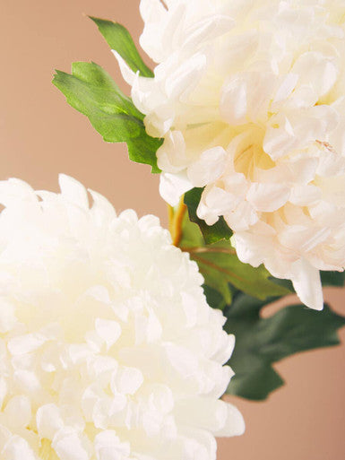 Fiori White Chrysanthemum Flower Stem