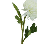 Fiori White Chrysanthemum Flower Stem