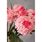 Fiori Pink Chrysanthemum Flower Stem