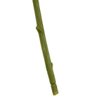 Fiori Pink Chrysanthemum Flower Stem