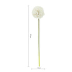 Fiori Ivory Allium Flower Stem