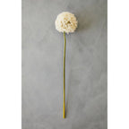Fiori Ivory Allium Flower Stem