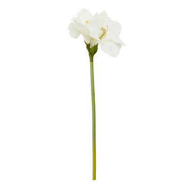 Fiori Ivory Amaryllis Flower Stem