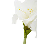 Fiori Ivory Amaryllis Flower Stem