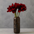 Fiori Burgundy Amaryllis Flower Stem