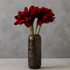 Fiori Burgundy Amaryllis Flower Stem